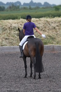 ISIS Dressage Challenge 2008